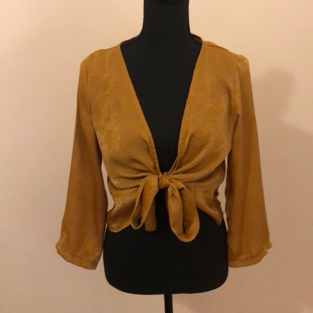 Sexy gold satin finish crop top